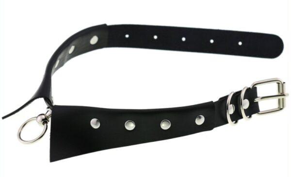 Collar GOTHIC RING Negro-Joy Jewels (Fun Distri) EAN: 3662811347865 - Imagen 2