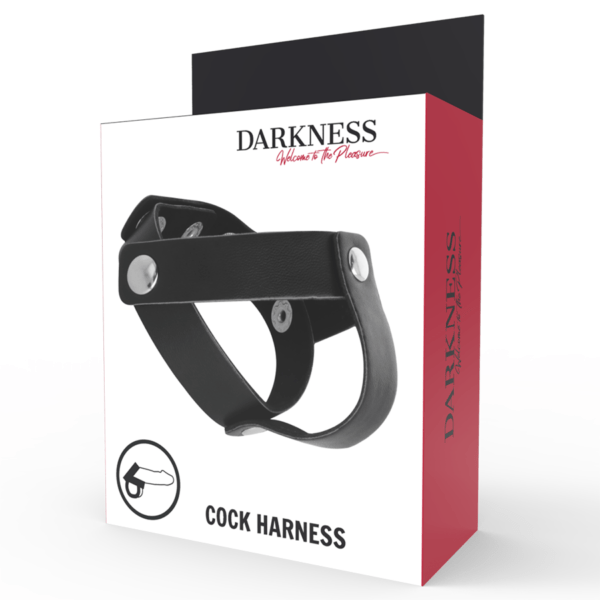 DARKNESS - ANILLO DE PIEL PARA PENE Y TESTÍCULOS-DARKNESS SENSATIONS (Dreamlove) EAN: 8435565904340 - Imagen 5