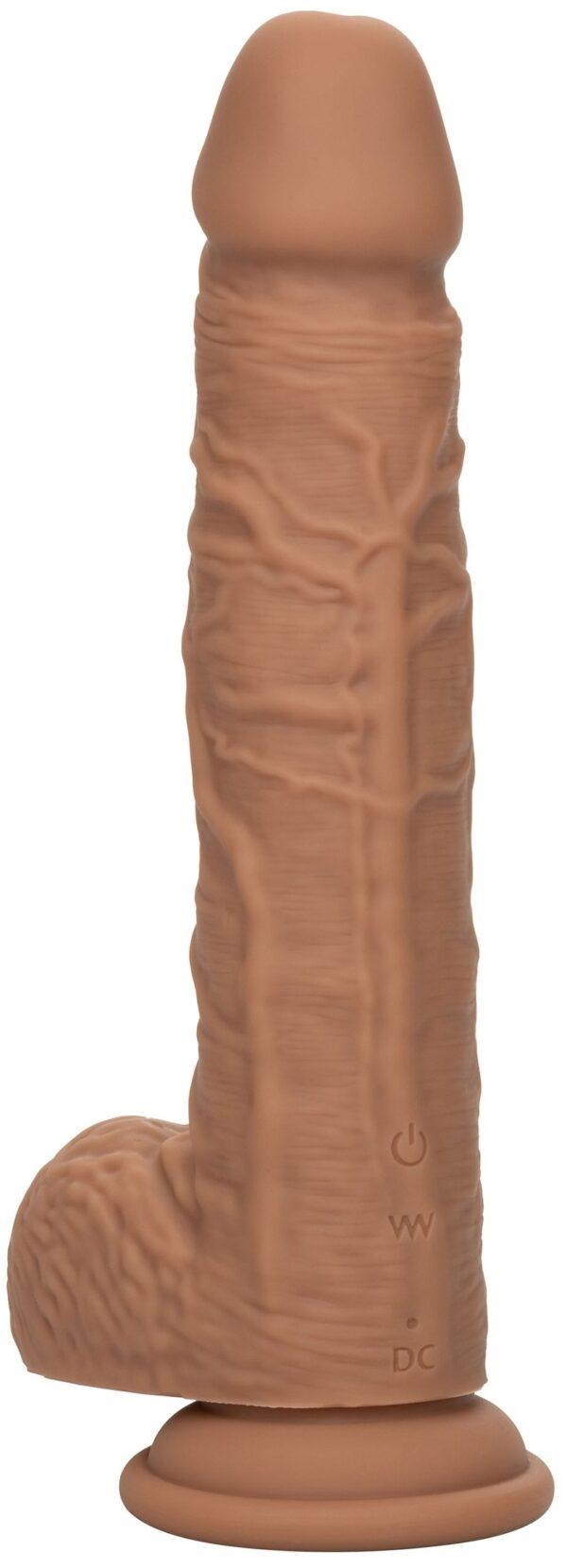 Fuck Squirting Consolador Vibrador 17 x 4.2cm Marrón-Squirting Fuck Stick (Fun Distri) EAN: 716770105684 - Imagen 10