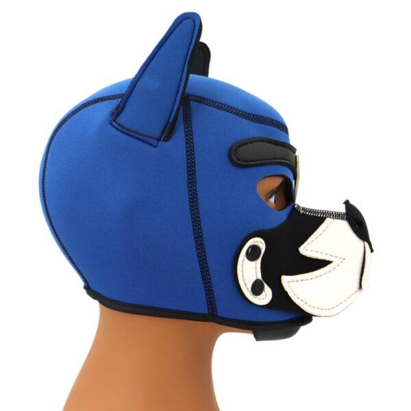 Capucha de neopreno Puppy Fox Azul-Blanco - Imagen 3