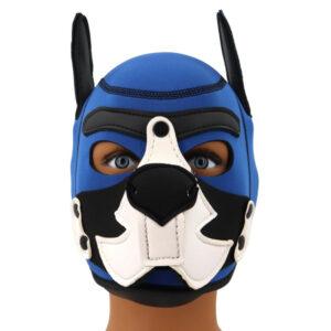 Capucha de neopreno Puppy Fox Azul-Blanco
