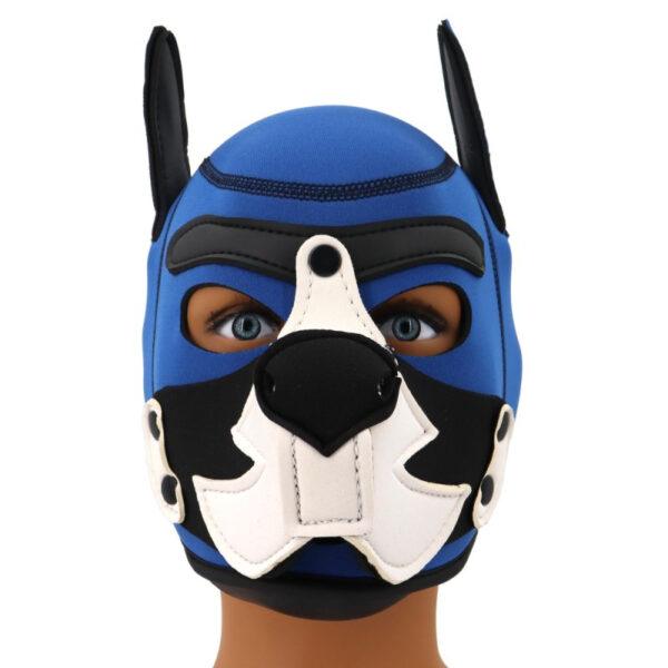 Capucha de neopreno Puppy Fox Azul-Blanco