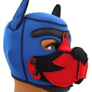 Capucha de neopreno Puppy Fox Azul-Rojo