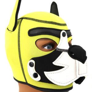 Capucha de neopreno Puppy Fox Amarillo-Blanco