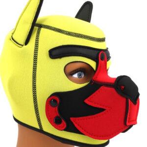Capucha de neopreno Puppy Fox Amarillo-Rojo