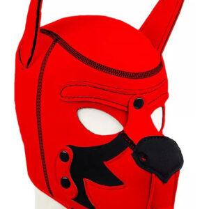 Capucha de neopreno Puppy Fox Rojo-Negro