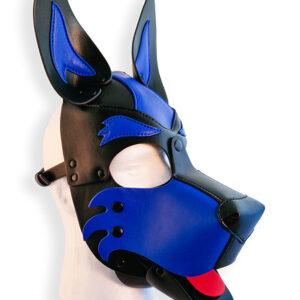 Capucha para cachorro negra y azul