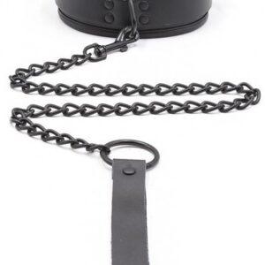 Collar grueso + Plomo