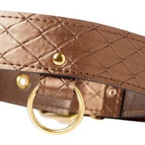 Darling Pet Bronce collar y correa 1m