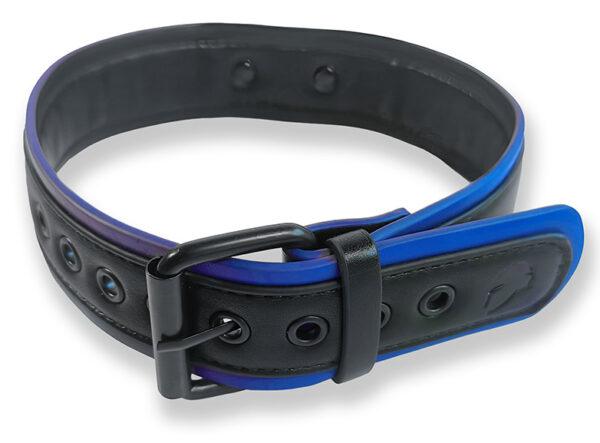 Collar Cachorro Negro-Azul - Imagen 2