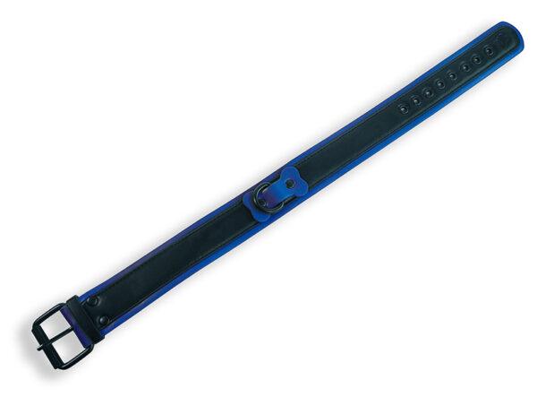 Collar Cachorro Negro-Azul - Imagen 3