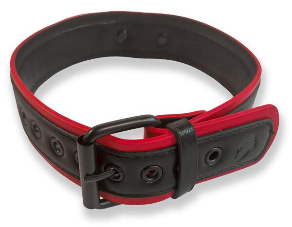 Collar Cachorro Negro-Rojo - Imagen 2