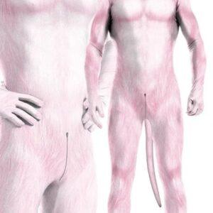 Traje Cosplay Perro Rosa-CosplayDogs (Fun Distri) EAN: 3662811624584