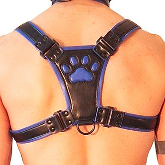 Arnés para cachorros Negro-Azul - Imagen 2