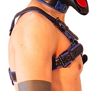 Arnés para cachorros Negro-Azul - Imagen 3