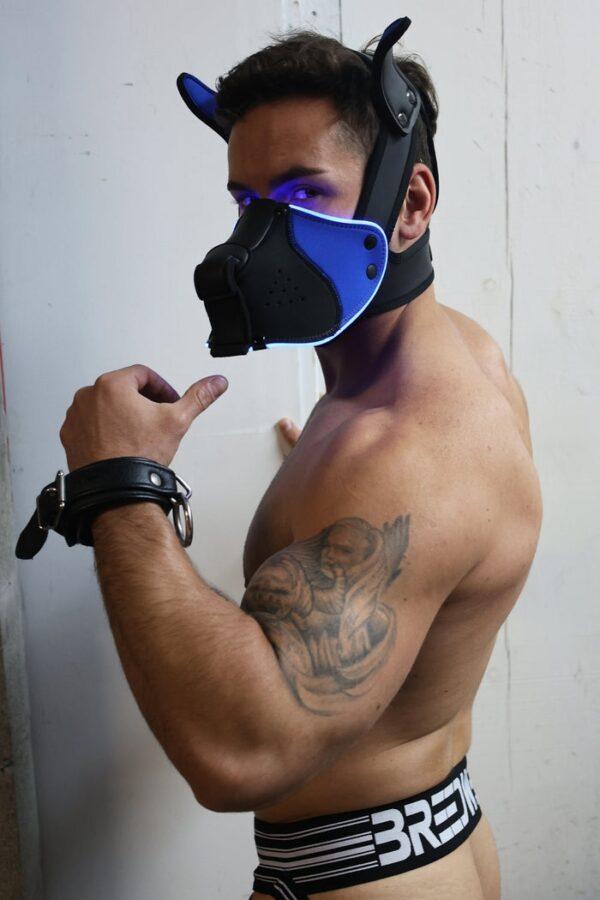 Poundtown Pup Breedwell Máscara Negro-Azul-Breedwell (Fun Distri) EAN: 734598818708 - Imagen 22