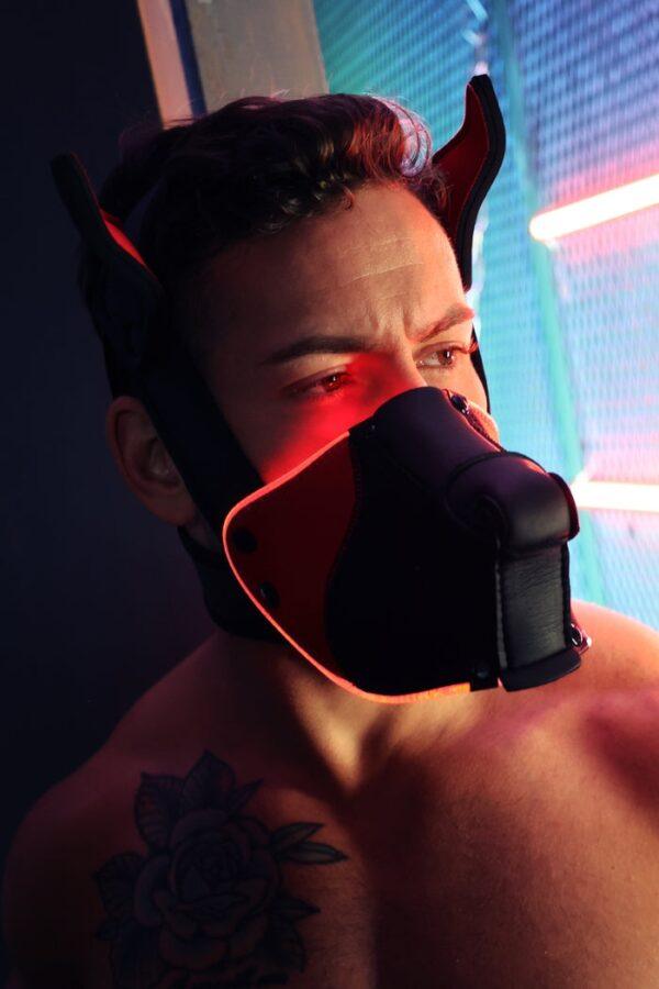 Poundtown Pup Breedwell Máscara Negro-Rojo-Breedwell (Fun Distri) EAN: 734598819354 - Imagen 11