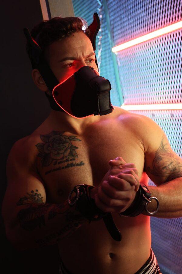 Poundtown Pup Breedwell Máscara Negro-Rojo-Breedwell (Fun Distri) EAN: 734598819354 - Imagen 12