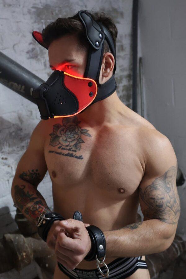 Poundtown Pup Breedwell Máscara Negro-Rojo-Breedwell (Fun Distri) EAN: 734598819354 - Imagen 15