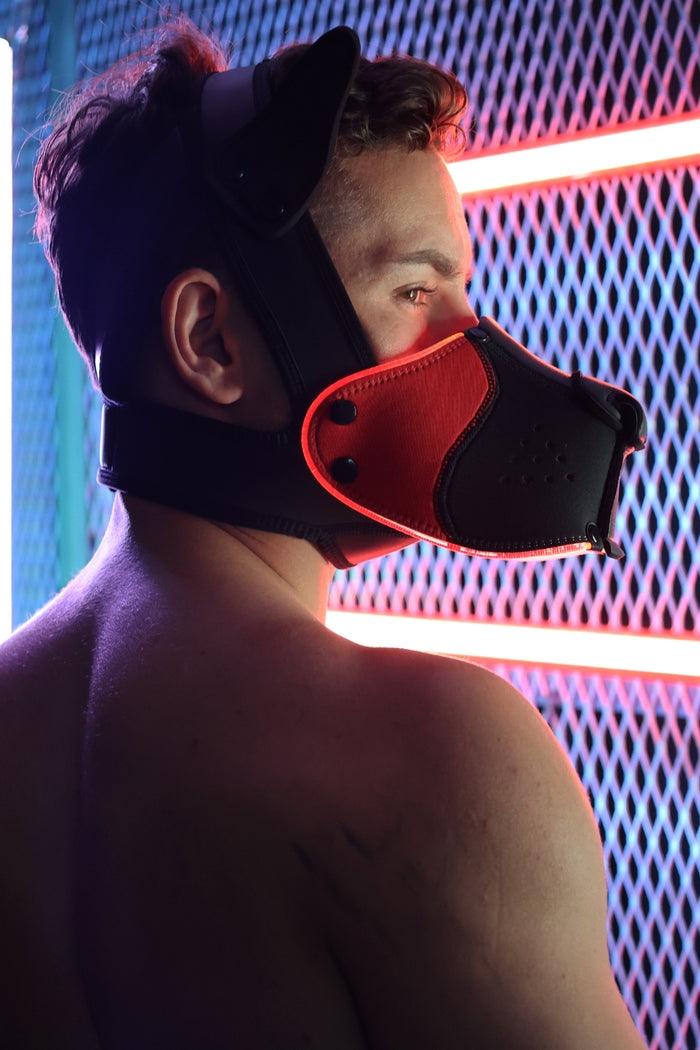 Poundtown Pup Breedwell Máscara Negro-Rojo-Breedwell (Fun Distri) EAN: 734598819354 - Imagen 18