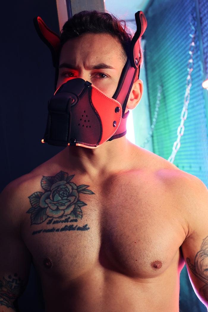 Poundtown Pup Breedwell Máscara Negro-Rojo-Breedwell (Fun Distri) EAN: 734598819354 - Imagen 19