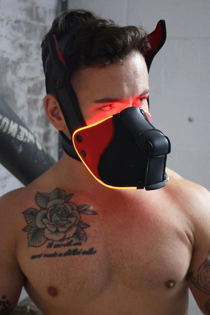 Poundtown Pup Breedwell Máscara Negro-Rojo-Breedwell (Fun Distri) EAN: 734598819354 - Imagen 3