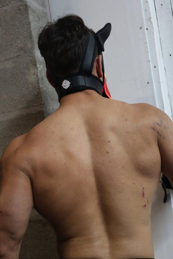 Poundtown Pup Breedwell Máscara Negro-Rojo-Breedwell (Fun Distri) EAN: 734598819354 - Imagen 21