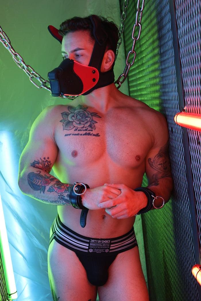Poundtown Pup Breedwell Máscara Negro-Rojo-Breedwell (Fun Distri) EAN: 734598819354 - Imagen 22