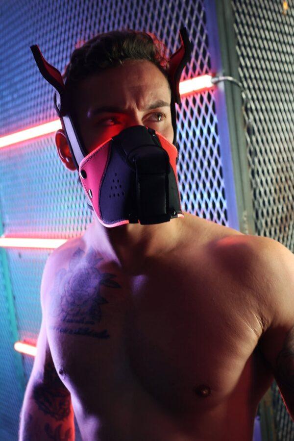 Poundtown Pup Breedwell Máscara Negro-Rojo-Breedwell (Fun Distri) EAN: 734598819354 - Imagen 23