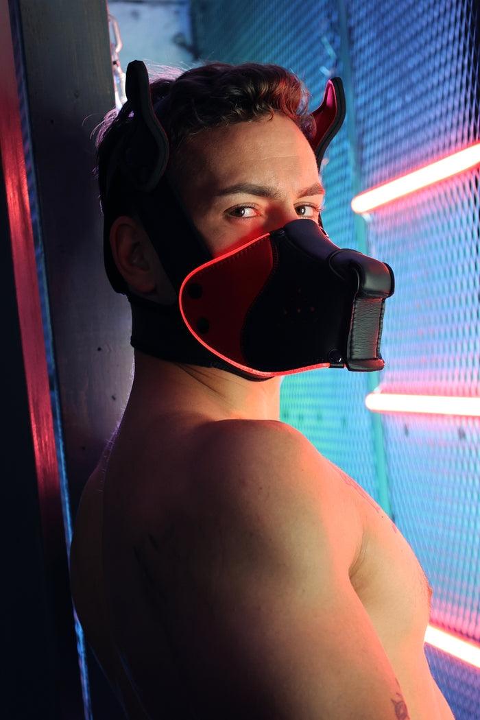 Poundtown Pup Breedwell Máscara Negro-Rojo-Breedwell (Fun Distri) EAN: 734598819354 - Imagen 24