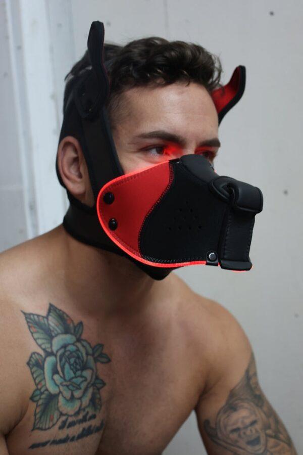 Poundtown Pup Breedwell Máscara Negro-Rojo-Breedwell (Fun Distri) EAN: 734598819354 - Imagen 25