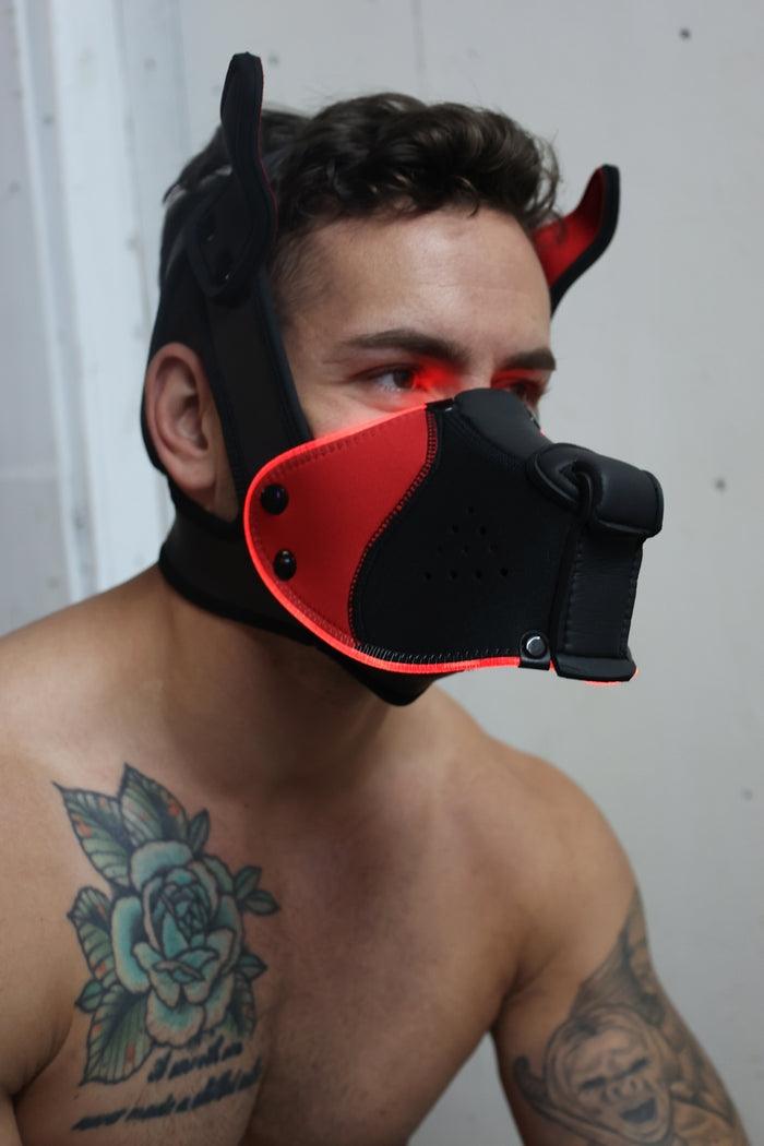 Poundtown Pup Breedwell Máscara Negro-Rojo-Breedwell (Fun Distri) EAN: 734598819354 - Imagen 25