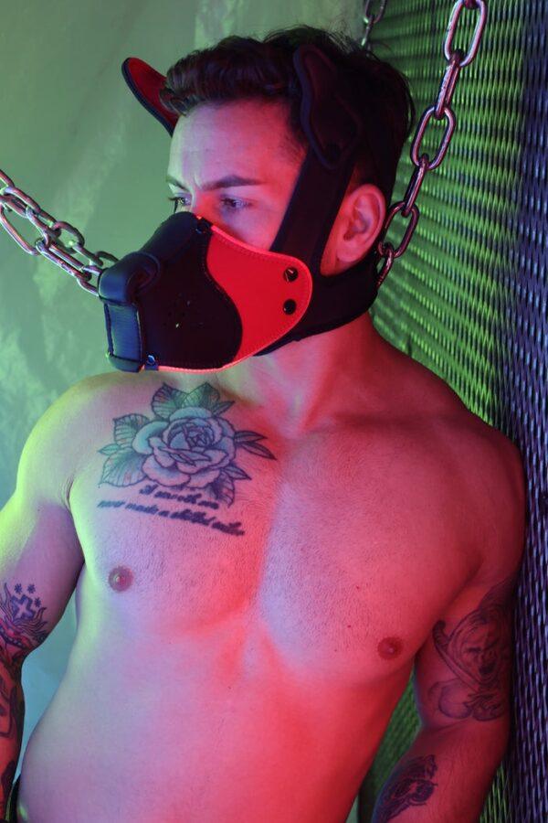 Poundtown Pup Breedwell Máscara Negro-Rojo-Breedwell (Fun Distri) EAN: 734598819354 - Imagen 26