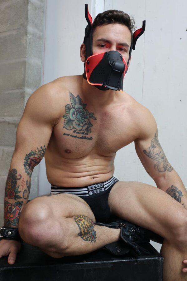 Poundtown Pup Breedwell Máscara Negro-Rojo-Breedwell (Fun Distri) EAN: 734598819354 - Imagen 27
