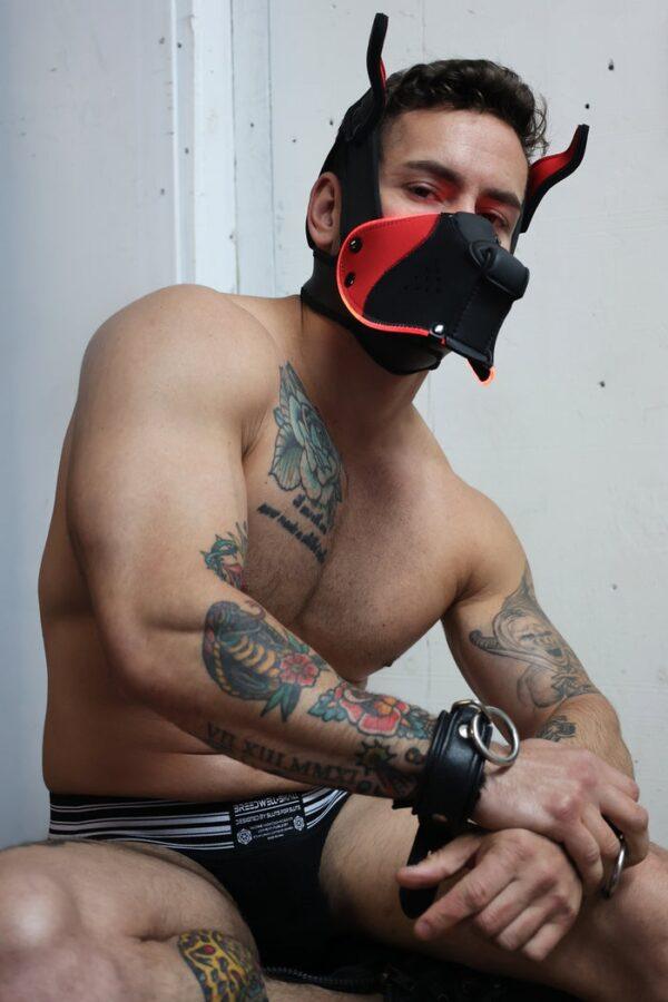 Poundtown Pup Breedwell Máscara Negro-Rojo-Breedwell (Fun Distri) EAN: 734598819354 - Imagen 28