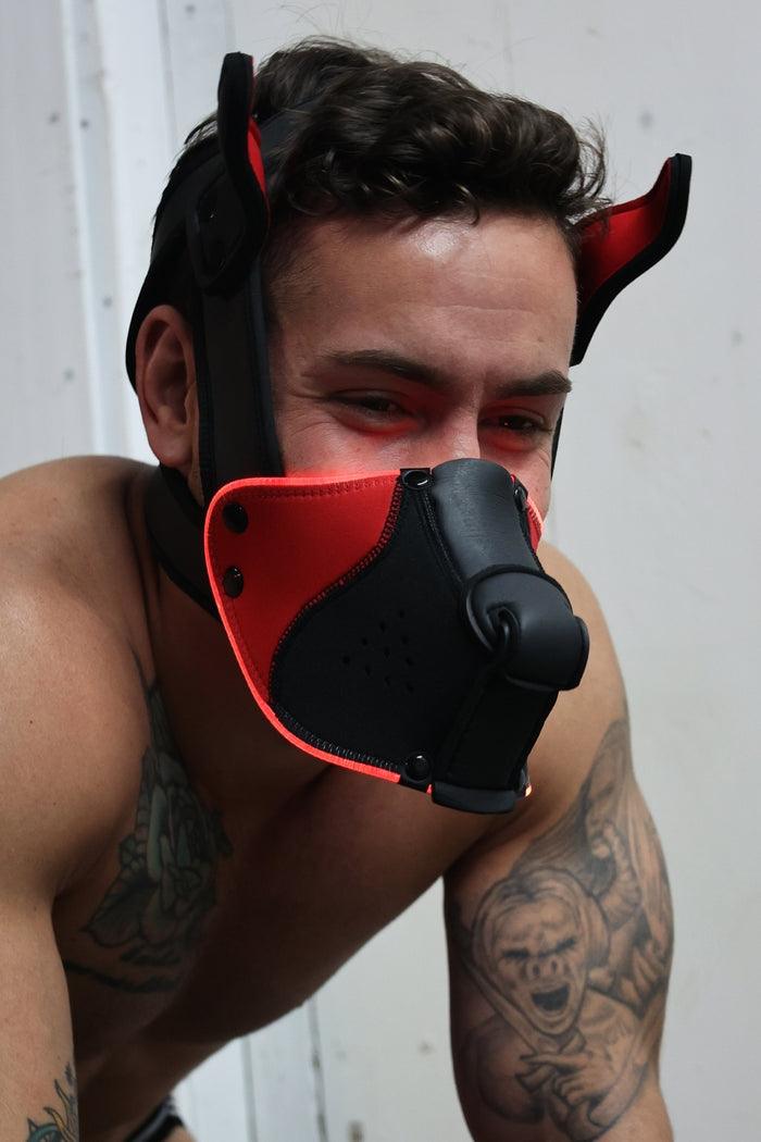 Poundtown Pup Breedwell Máscara Negro-Rojo-Breedwell (Fun Distri) EAN: 734598819354 - Imagen 29