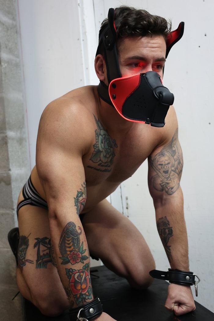Poundtown Pup Breedwell Máscara Negro-Rojo-Breedwell (Fun Distri) EAN: 734598819354 - Imagen 30