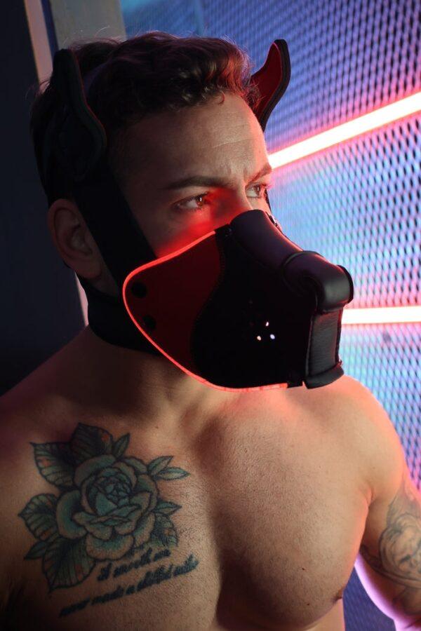 Poundtown Pup Breedwell Máscara Negro-Rojo-Breedwell (Fun Distri) EAN: 734598819354 - Imagen 31