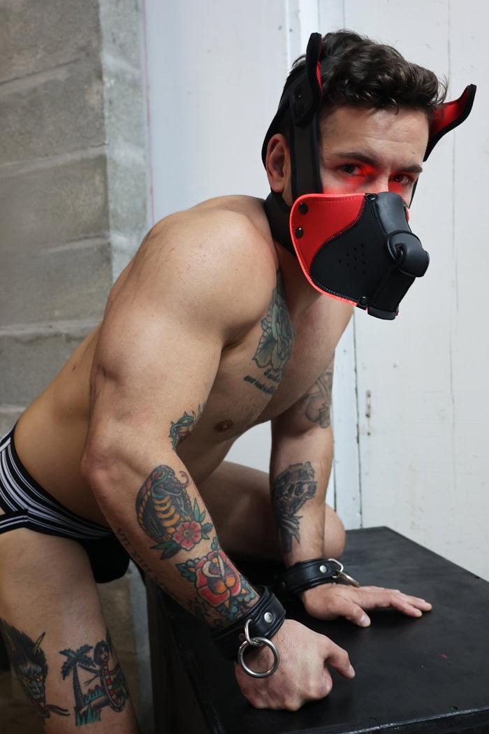 Poundtown Pup Breedwell Máscara Negro-Rojo-Breedwell (Fun Distri) EAN: 734598819354 - Imagen 32