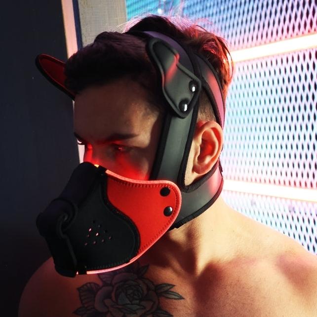 Poundtown Pup Breedwell Máscara Negro-Rojo-Breedwell (Fun Distri) EAN: 734598819354
