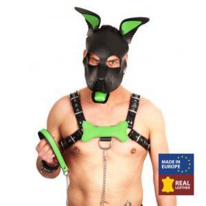 HUESO DE CACHORRO EN CUERO VERDE-The Red (Fun Distri) EAN: 3662811211678