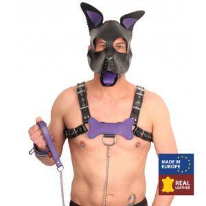 HUESO PARA CACHORROS DE CUERO PÚRPURA-The Red (Fun Distri) EAN: 3701019811461